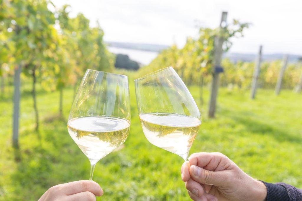 Lympstone Manor Hotel Restaurant & Vineyard - Relais & Chateaux Exmouth Ngoại thất bức ảnh