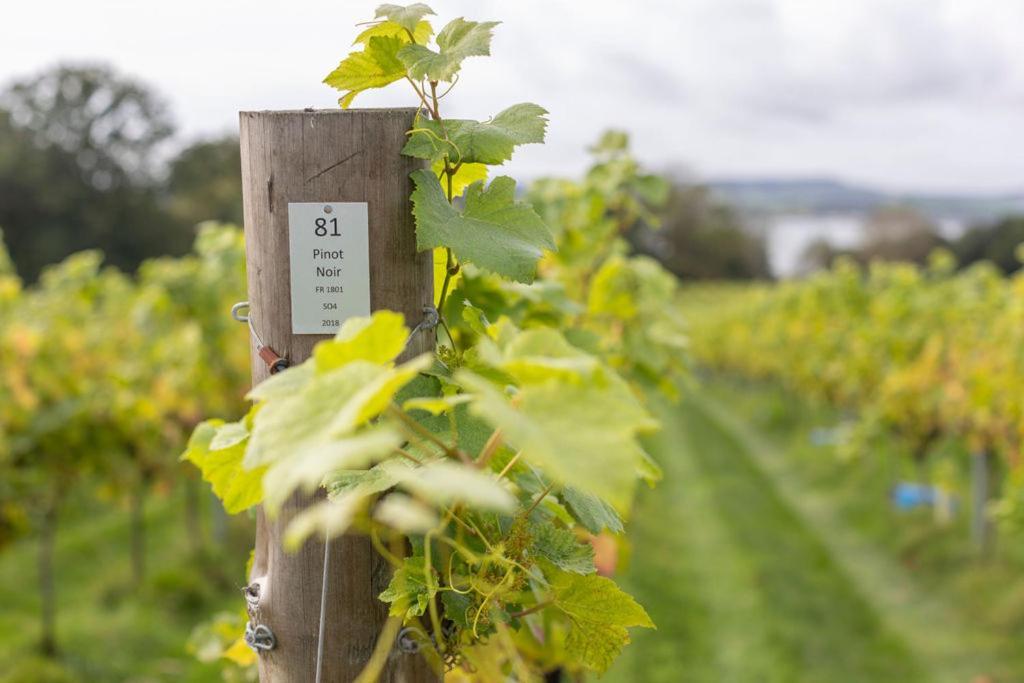 Lympstone Manor Hotel Restaurant & Vineyard - Relais & Chateaux Exmouth Ngoại thất bức ảnh