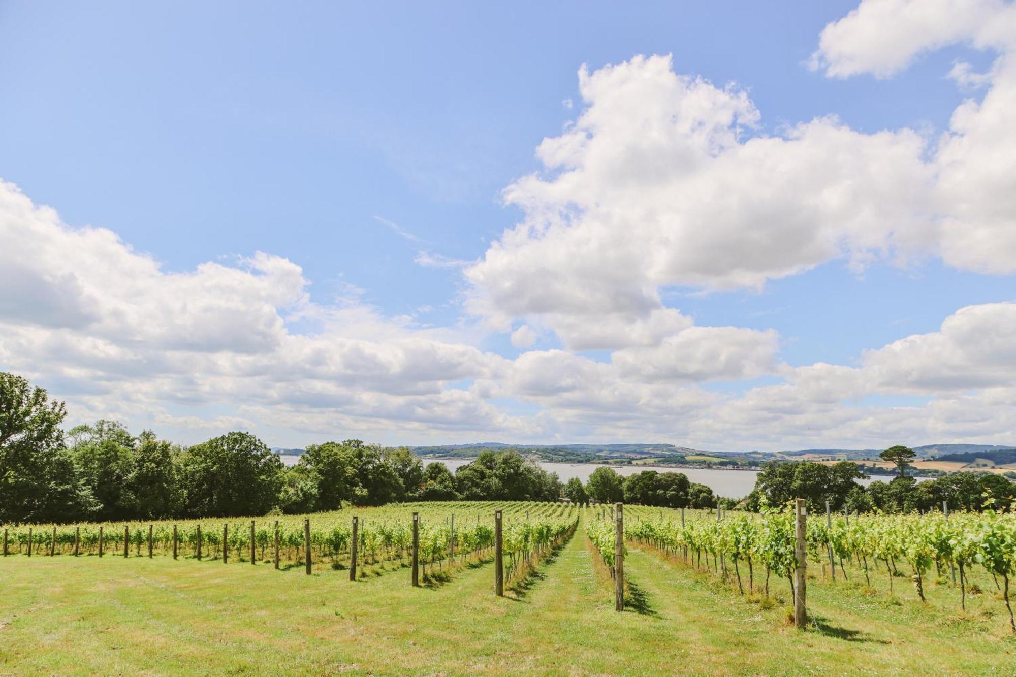 Lympstone Manor Hotel Restaurant & Vineyard - Relais & Chateaux Exmouth Ngoại thất bức ảnh