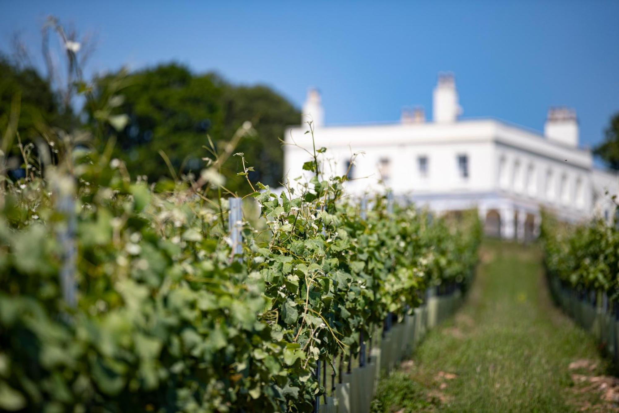 Lympstone Manor Hotel Restaurant & Vineyard - Relais & Chateaux Exmouth Ngoại thất bức ảnh