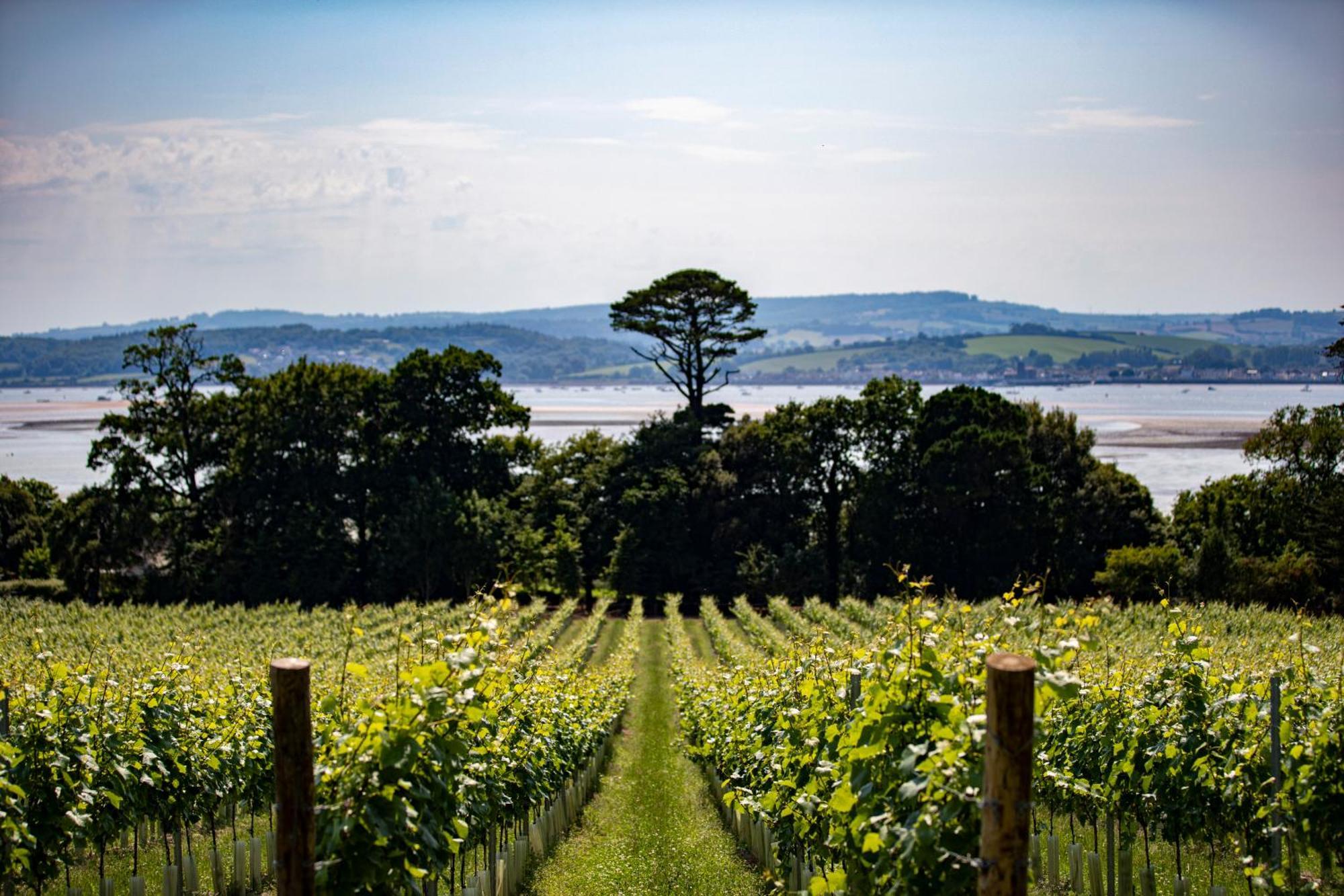 Lympstone Manor Hotel Restaurant & Vineyard - Relais & Chateaux Exmouth Ngoại thất bức ảnh